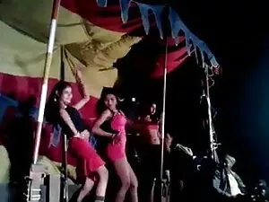 स्नाहब्रैंडी द्वारा  ...