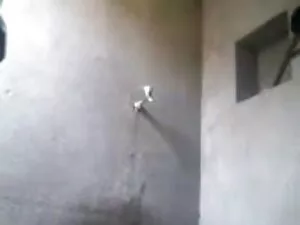 डिल्डो मैराथन, शराब  ...