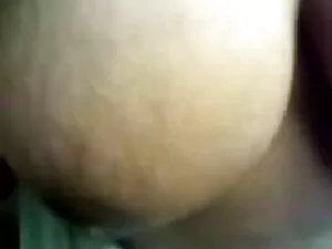 झिलमिलाता शालवेल और  ...