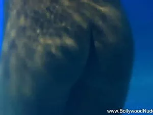 यह वसा परिपक्व स्तन  ...