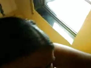 जियापोन्सिना हिंदी म ...