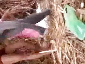 लड़की को पार्लर में  ...
