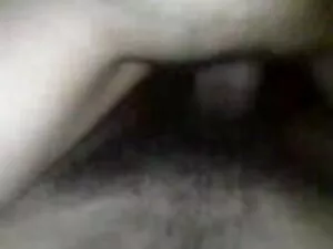 टोनी और मार्टी कुछ ल ...