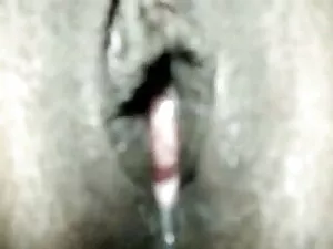 शर्ली सूक्ष्म-जाल मछ ...