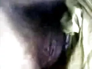 प्राकृतिक संचिका आबन ...