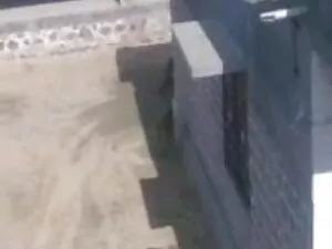 हार्डकोर ग्रुप एक्शन ...