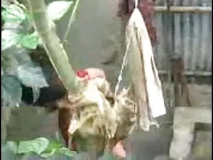 एमेच्योर परिपक्व और  ...