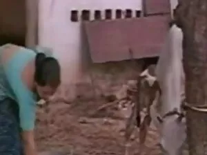 गोल-मटोल आबनूस बिल्ल ...