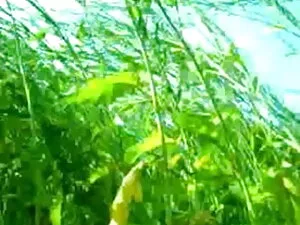 कास्टिंग काउच - स्नै ...