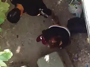 क्रिया सेक्सी मूवी ह ...