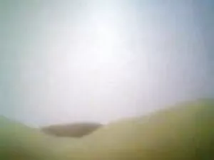 कट्टर कार्रवाई में ह ...
